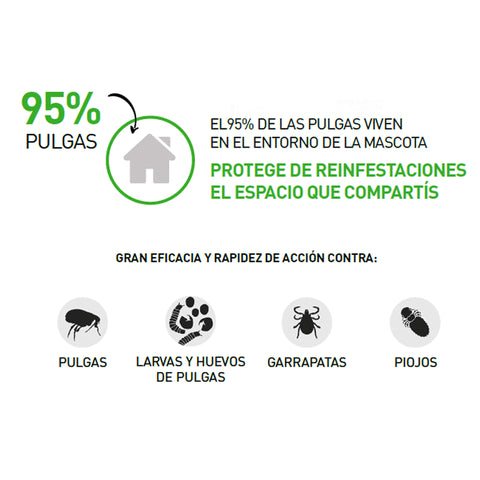 Frontline Combo Gato (3 pipetas)