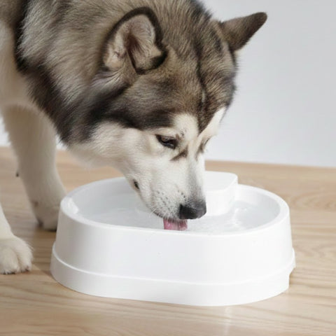 Twinbee Fuente Pure100S - Bebedero automático 3 litros