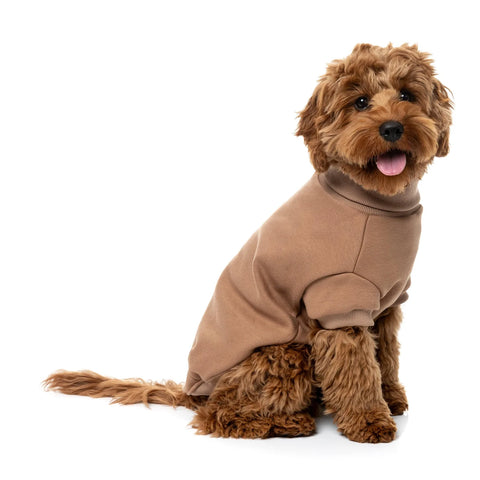 FuzzYard Stevie Sweatter Latte para Perro