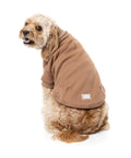 FuzzYard Stevie Sweatter Latte para Perro – imagen 6