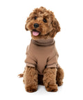 FuzzYard Stevie Sweatter Latte para Perro – imagen 5