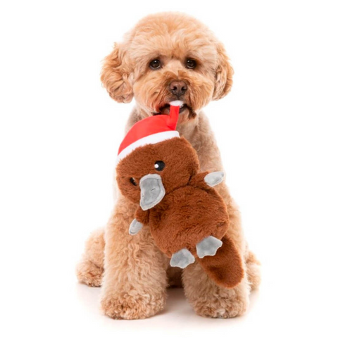 FuzzYard Christmas Platypus