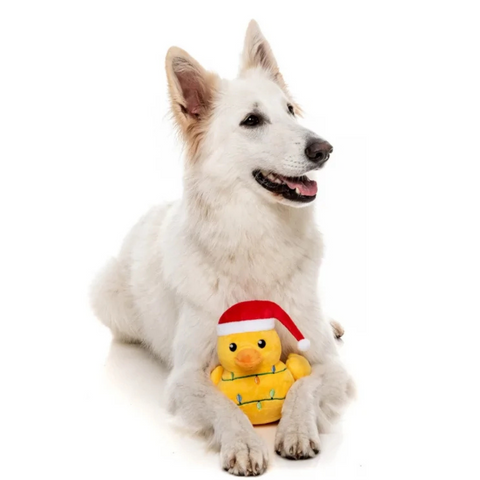 FuzzYard Christmas Quackmas