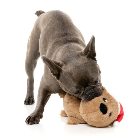 FuzzYard Christmas Wombat