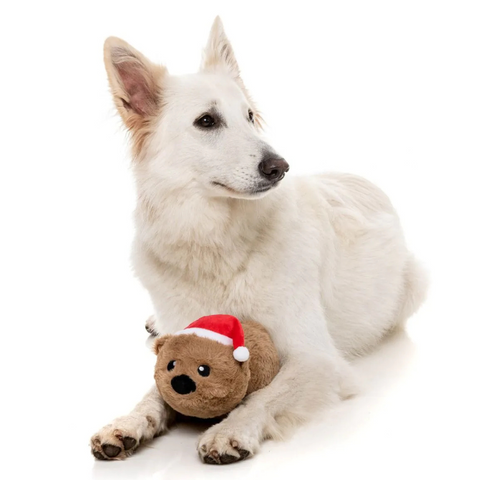 FuzzYard Christmas Wombat