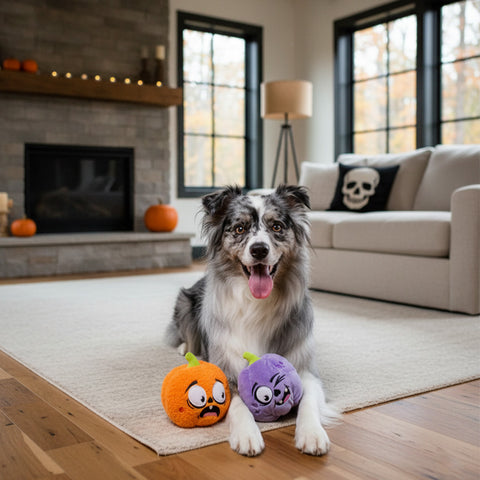 FuzzYard Halloween Toy - Trick Or Treat Duo 2PK