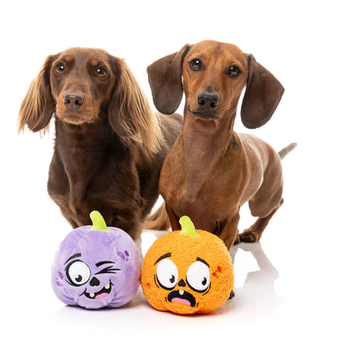 FuzzYard Halloween Toy - Trick Or Treat Duo 2PK