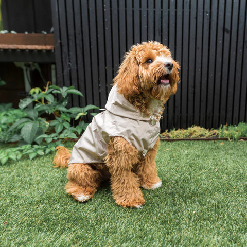 FuzzYard LIFE Raincoat Sandstone