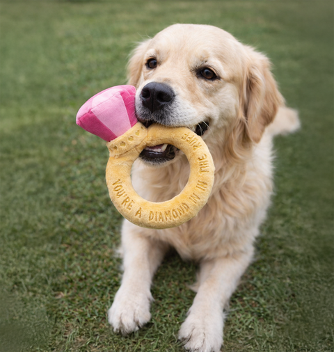FuzzYard Love Collection Toy - Diamond In The Ruff Ring