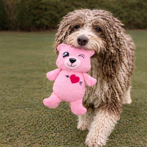 FuzzYard Love Collection Toy - Nothing Butt Love Bear