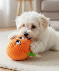 FuzzYard Halloween Toy - Percy Pumpkin S