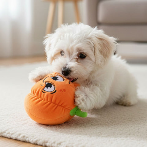 FuzzYard Halloween Toy - Percy Pumpkin S