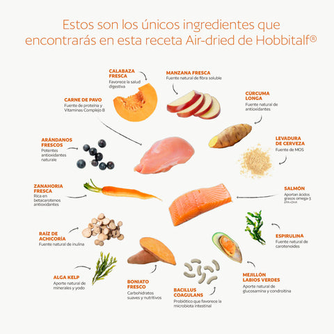 Hobbitalf Air-dried Superfood Adult dog Salmón&Pavo