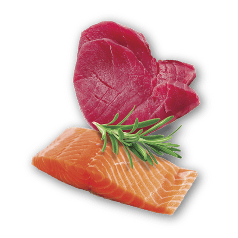 Paté con trozos Atún&Salmón 400g