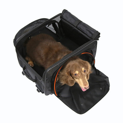 Ibiyaya JetPaw Expandable Pet Back Pack