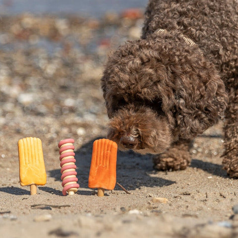 Trixie Ice Pop Snack para Perros con Pollo y Banana 50g