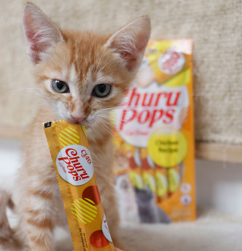 Inaba Cat Churu Pops Pollo 4x15g