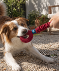 Freedog Juguete Mordedor Elástico Loopy Tug para Perros – imagen 2