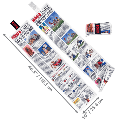 KONG Daily Newspaper XL