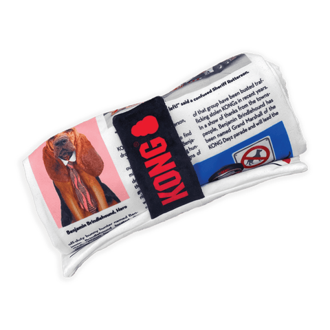 KONG Daily Newspaper XL