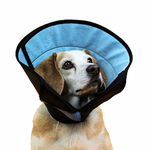 KVP Calmer - Collar Isabelino