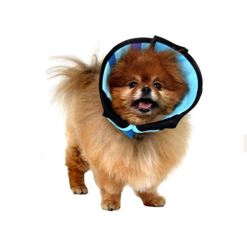 KVP Calmer - Collar Isabelino