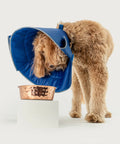 KVP Calmer - Collar Isabelino