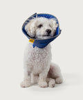 KVP Calmer - Collar Isabelino