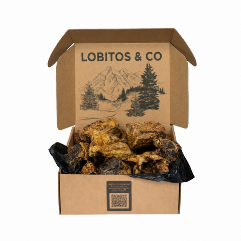 LOBITOS Box - Only Pulmón