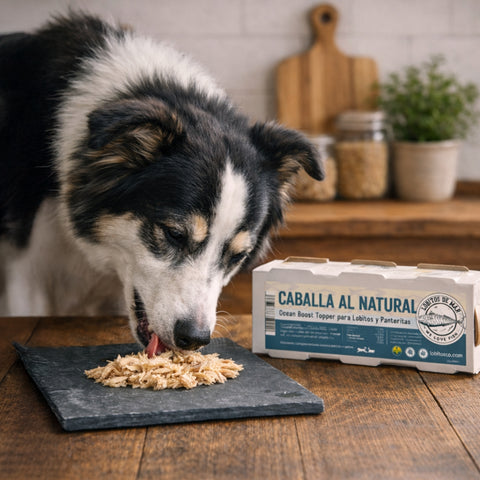 LOBITOS DE MAR - Caballa Codida al Natural 3x80g