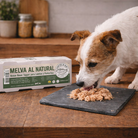 LOBITOS DE MAR -  Melva Cocida al Natural 3x80g