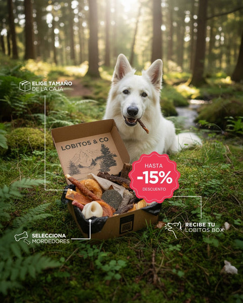 LOBITOS BOX - Mordedores Naturales