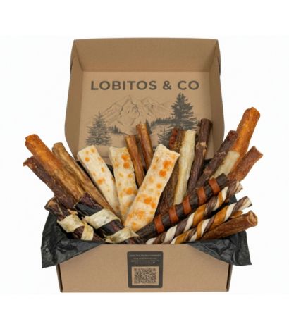 LOBITOS Collagen Box Large