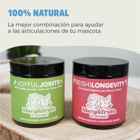 Pack Articular - Reishi Longevity (75 gr) + Joyful Joints (100 gr)