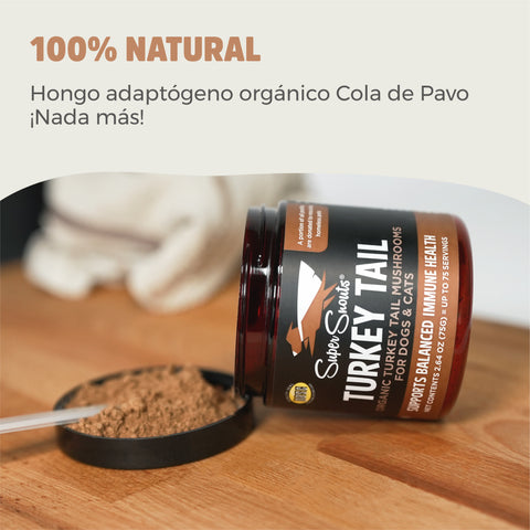 Super Snouts Turkey Tail