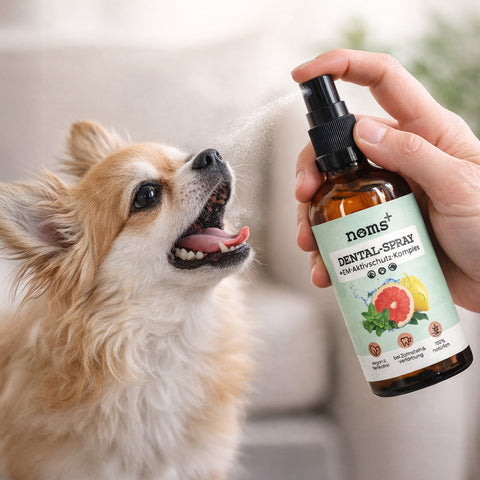 Noms+ Dental Spray