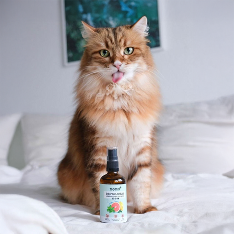 Noms+ Dental Spray