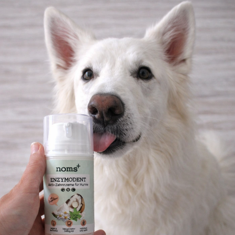 Noms+ Dog Enzymodent Dentífrico Enzimático