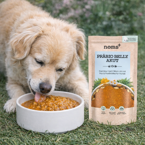 Noms+ Prebio Belly Acut (Sopa de Moro) 200g