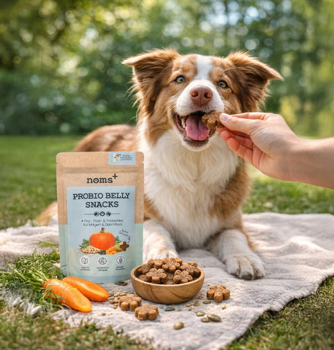 Noms+ Probio Belly Snacks 200g