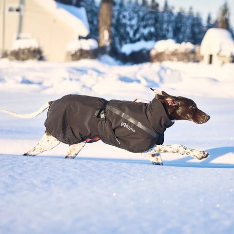 Non-stop Trekking Insulated Dog Jacket