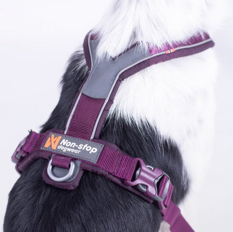 Non-stop Line Harness 5.0 Black