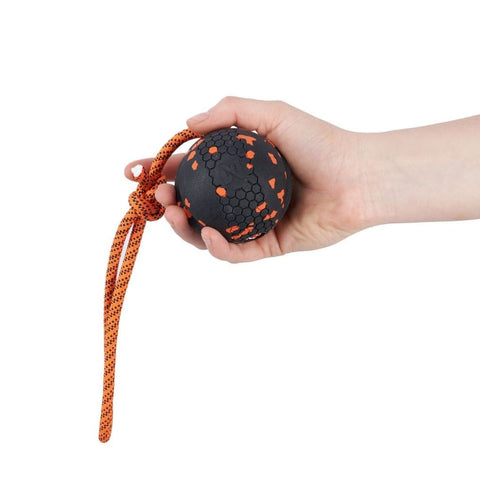 Non-stop Dog Ball on Rope