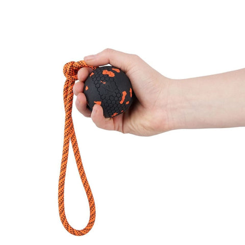 Non-stop Dog Ball on Rope
