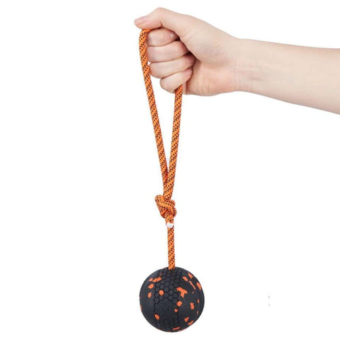 Non-stop Dog Ball on Rope