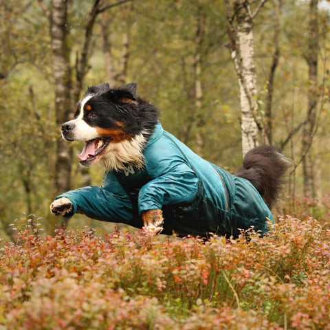 Non-stop Fjord Overall Teal