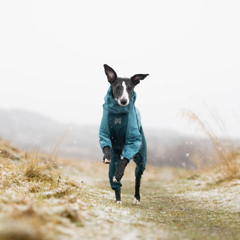 Non-stop Fjord Overall Teal