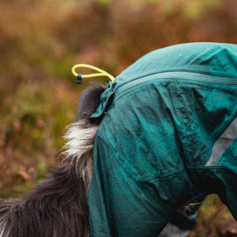 Non-stop Fjord Overall Teal