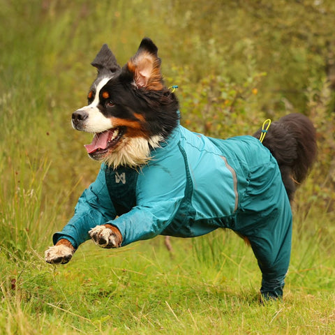 Non-stop Fjord Overall Teal