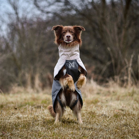 Non-stop Fjord Raincoat 2.0 Gray